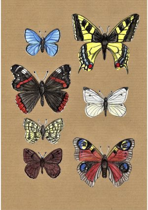 Postkarte „Schmetterlinge“ auf Braun