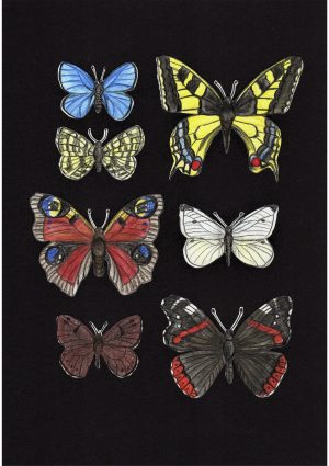 Postkarte "Schmetterlinge" auf Schwarz