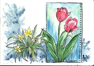Postkarte "Tulpen"